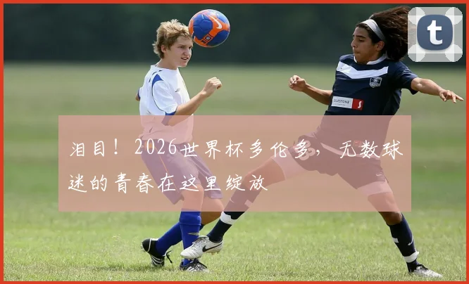 泪目！2026世界杯多伦多，无数球迷的青春在这里绽放